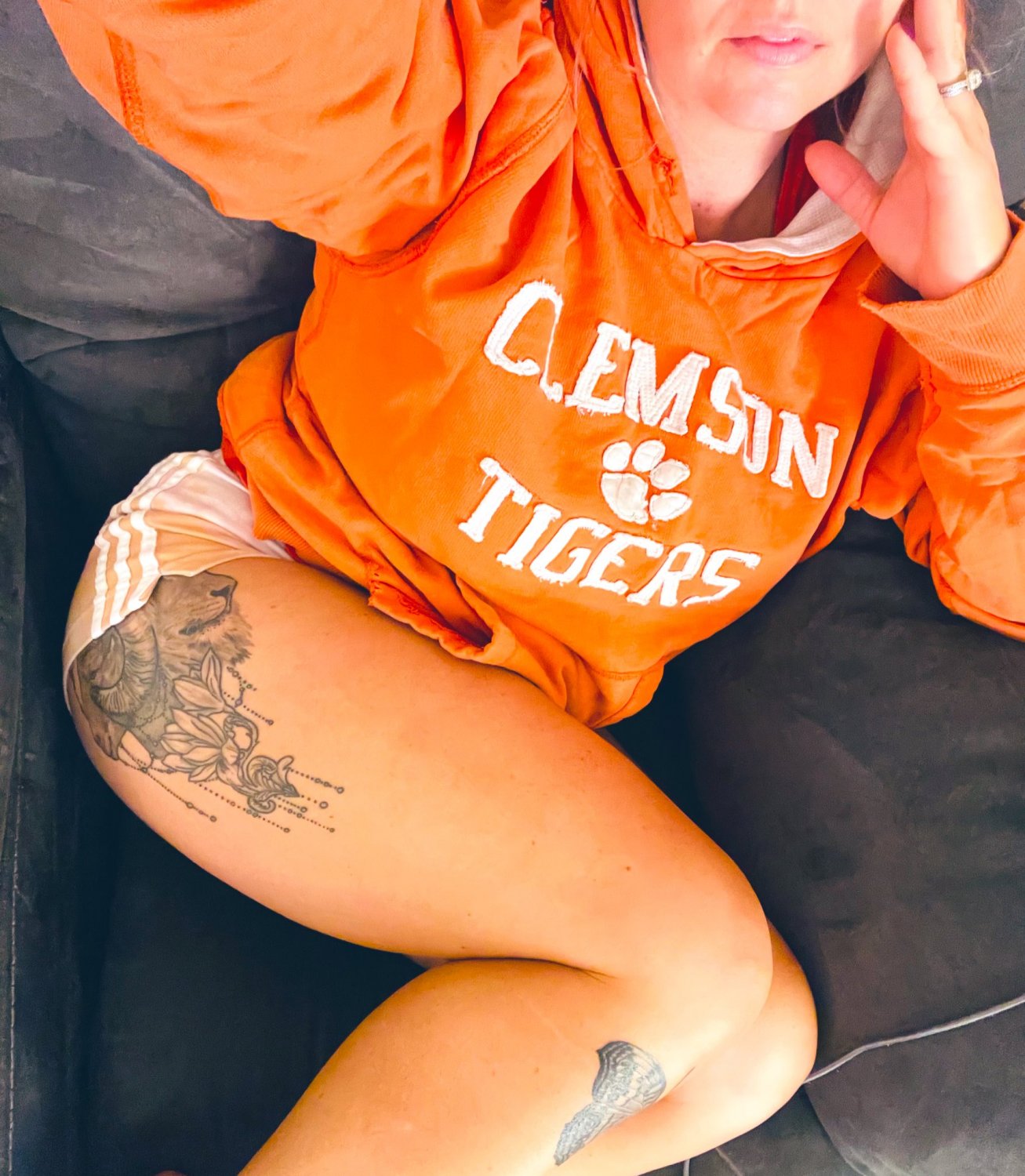 post#702 - South Carolinas Clemson Tigers - Porn photo