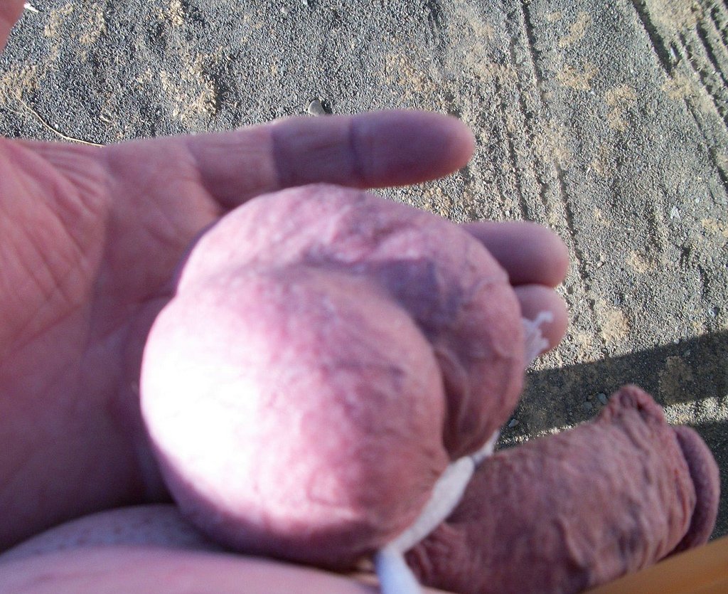 Me, JJ, doing what I love, exposing my cock, whenever I can #qNZD2xsJ