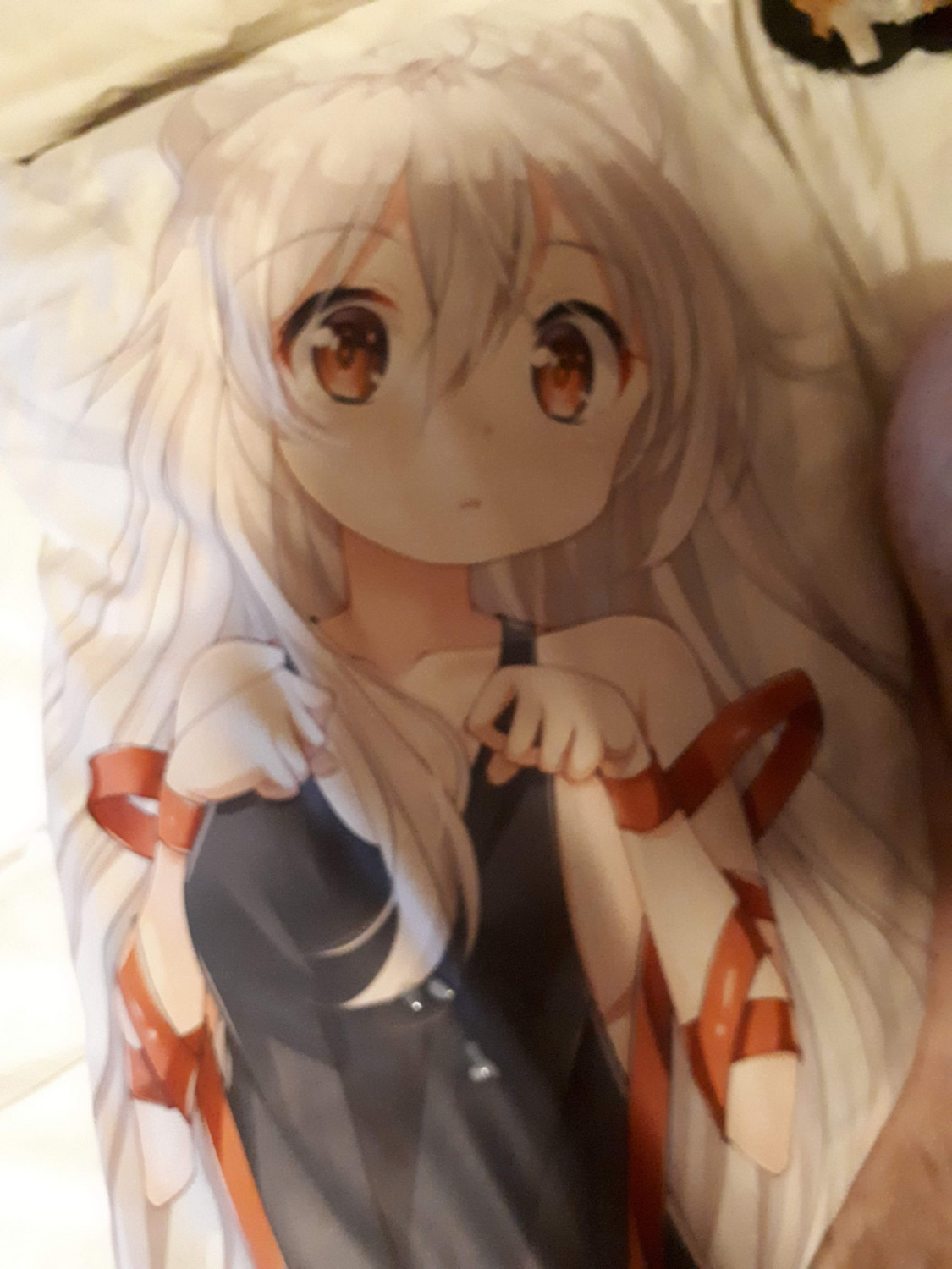 Dakimakura Cum Tributes (Anime, Furry) #FgzY8662