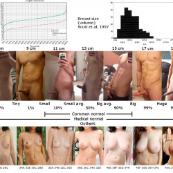 Size Comparison - penis vs breasts size comparison - Porn | EroMe
