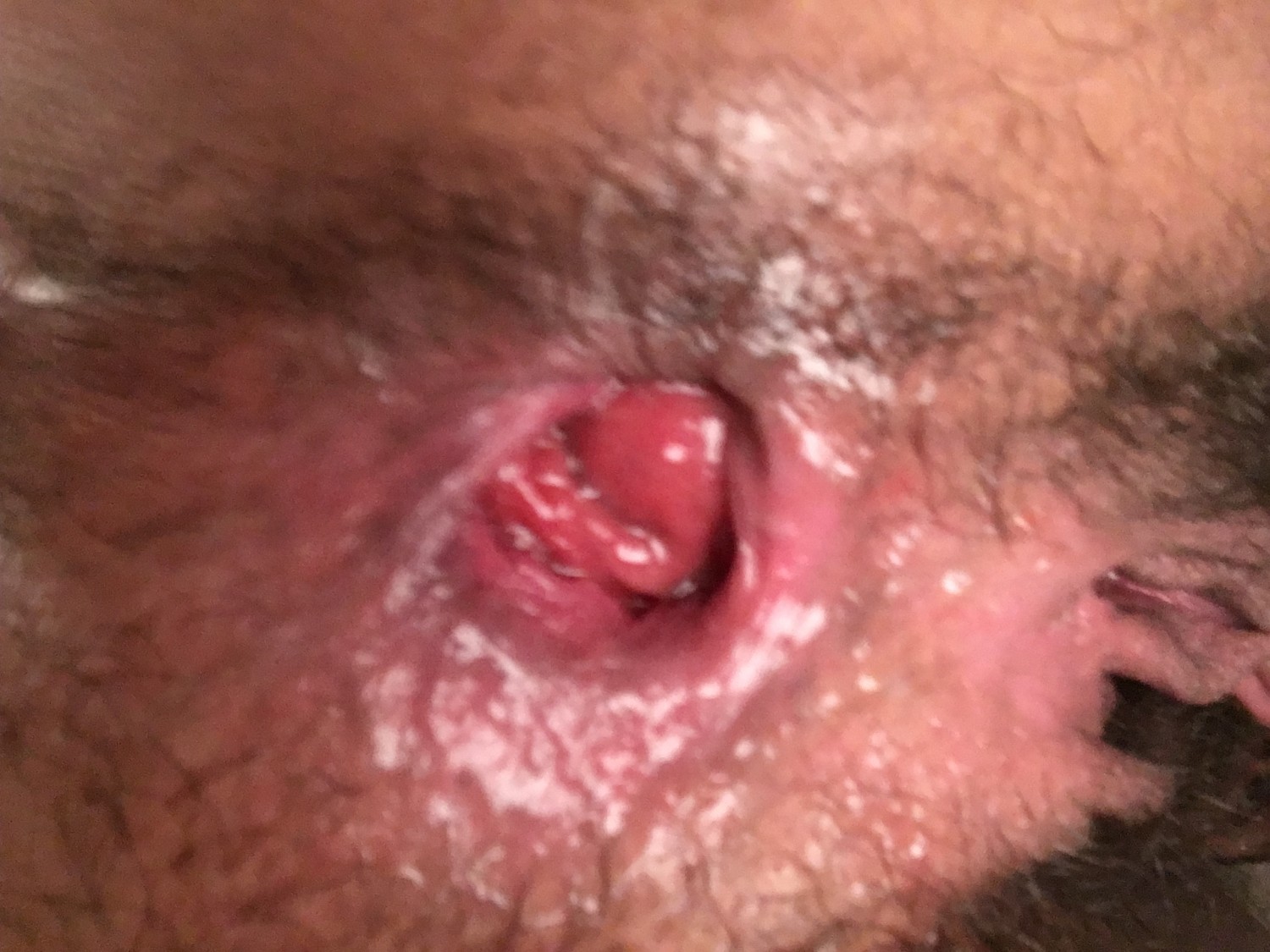 [FTM] I haven’t put anything in my ass in a few months. But I was so horny tonight I just went forit #xbr0WZX7