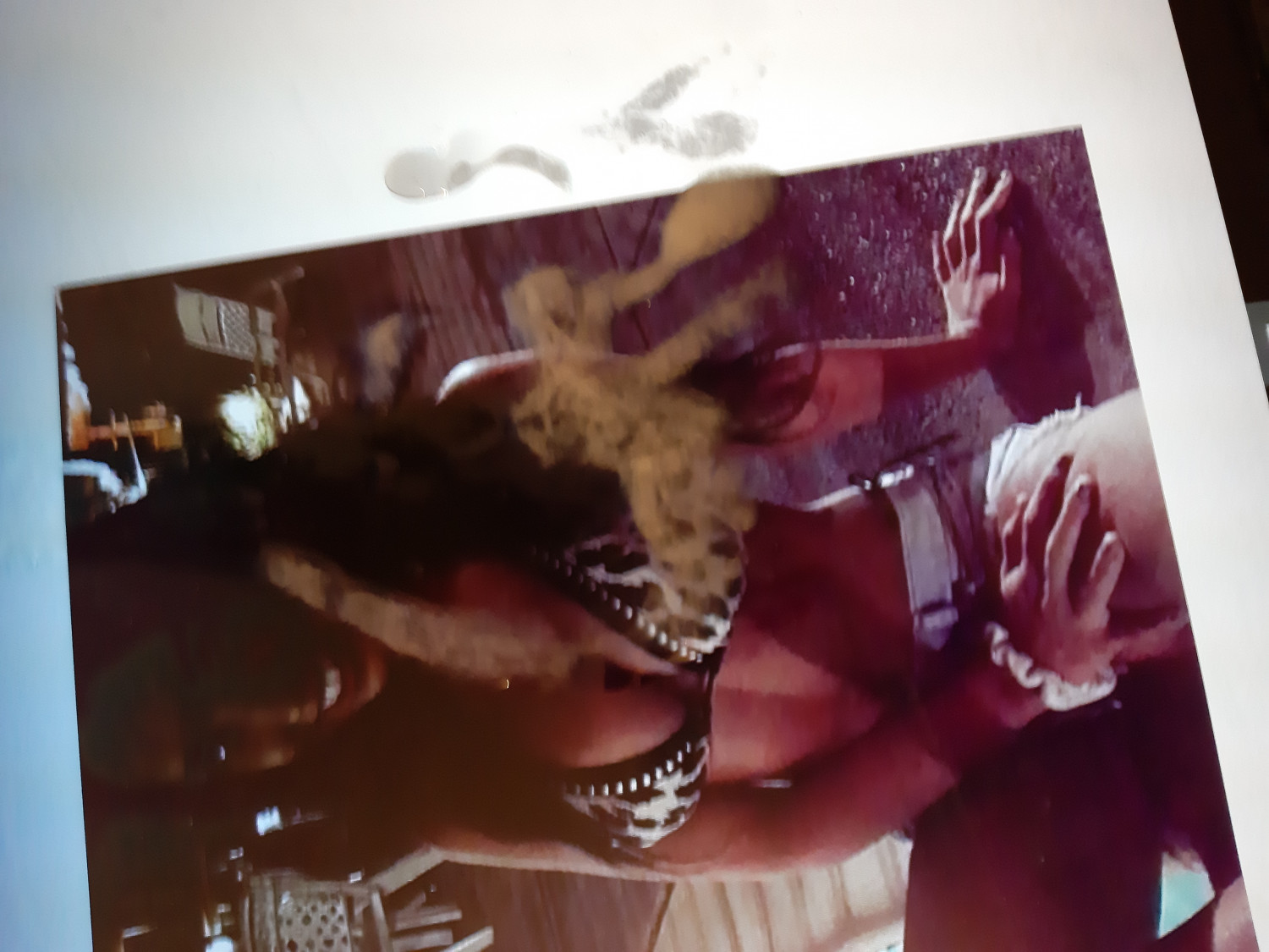 paris roxanne cumtribute 2 #CMQ1YD4Y