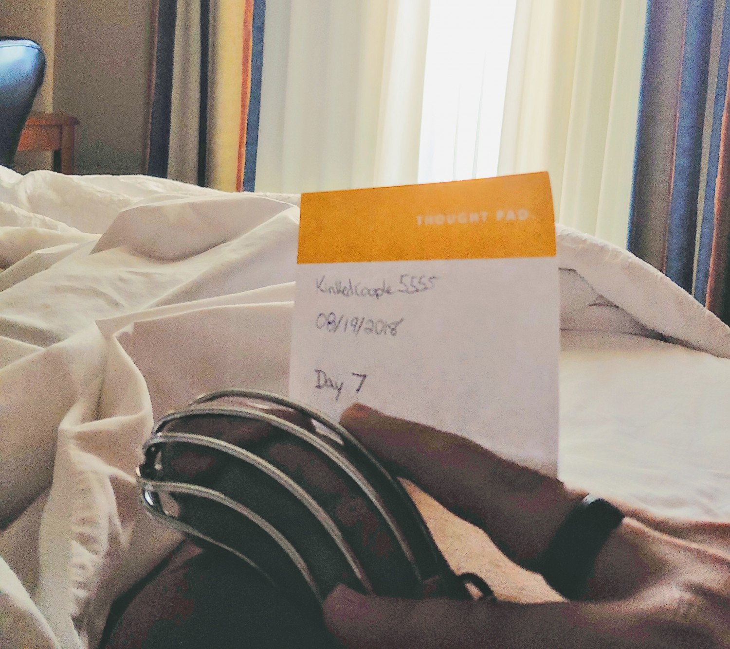 Verification week 1 of 3 #85ZgooII